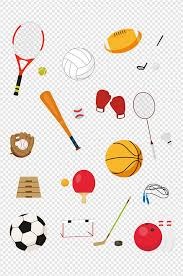 综合体育历史数据回顾 对比历年成绩变化